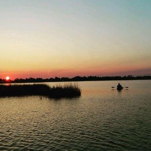 Meet your Posher, Lee